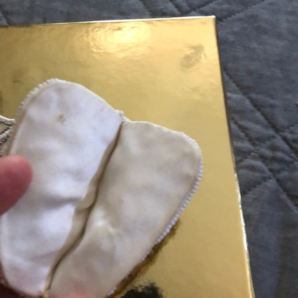 Glass case - Picture 2 of 3